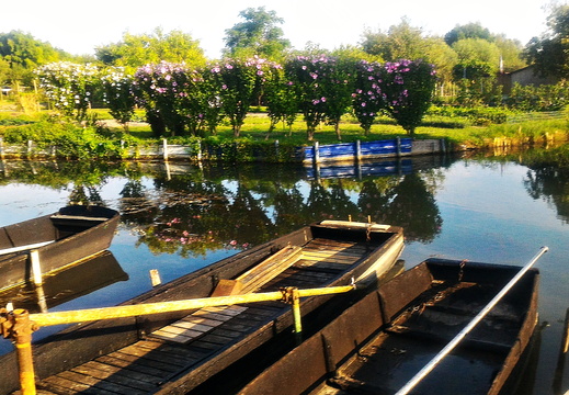 Marais de Bourges